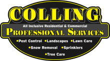 Colling Professional Solutions