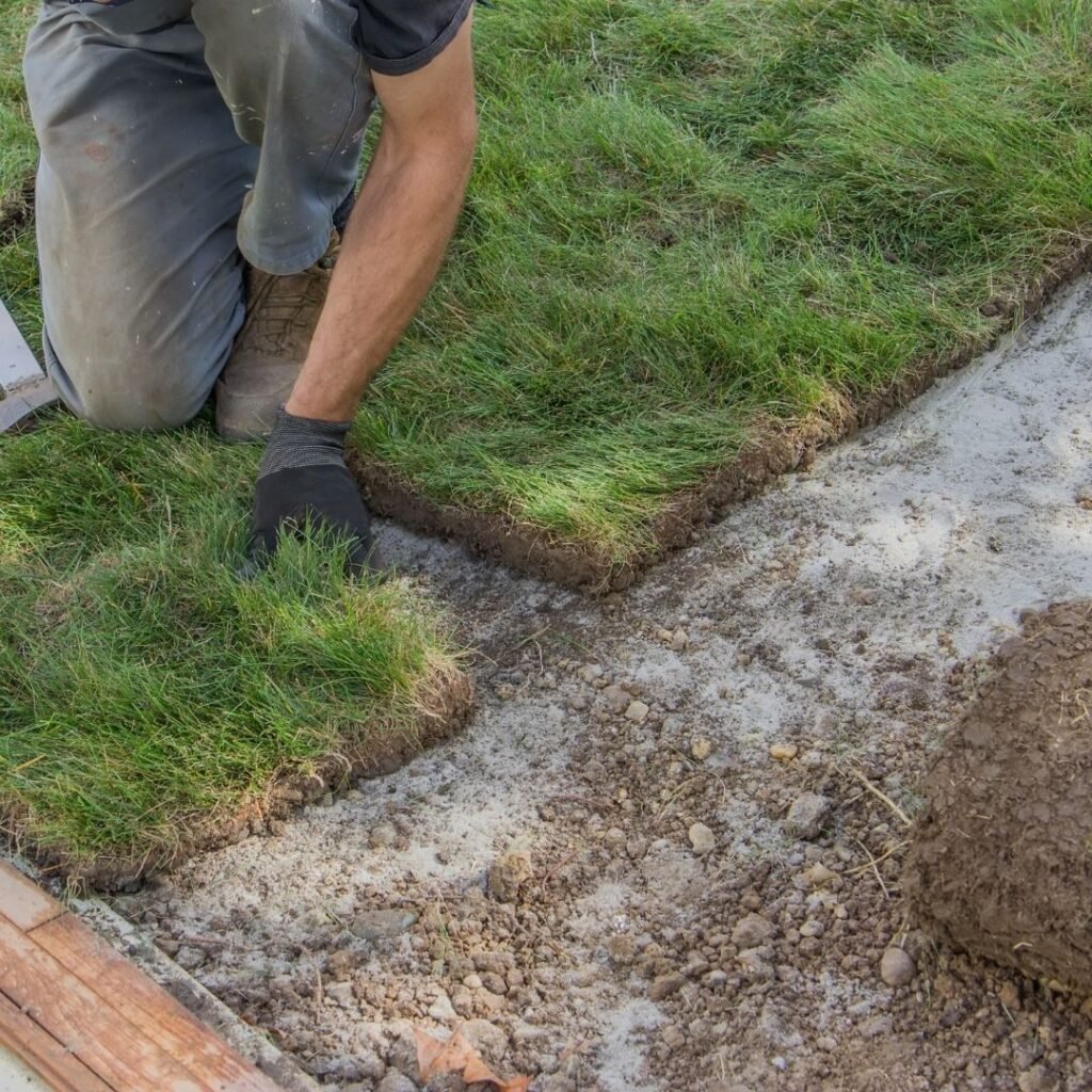 sod installation