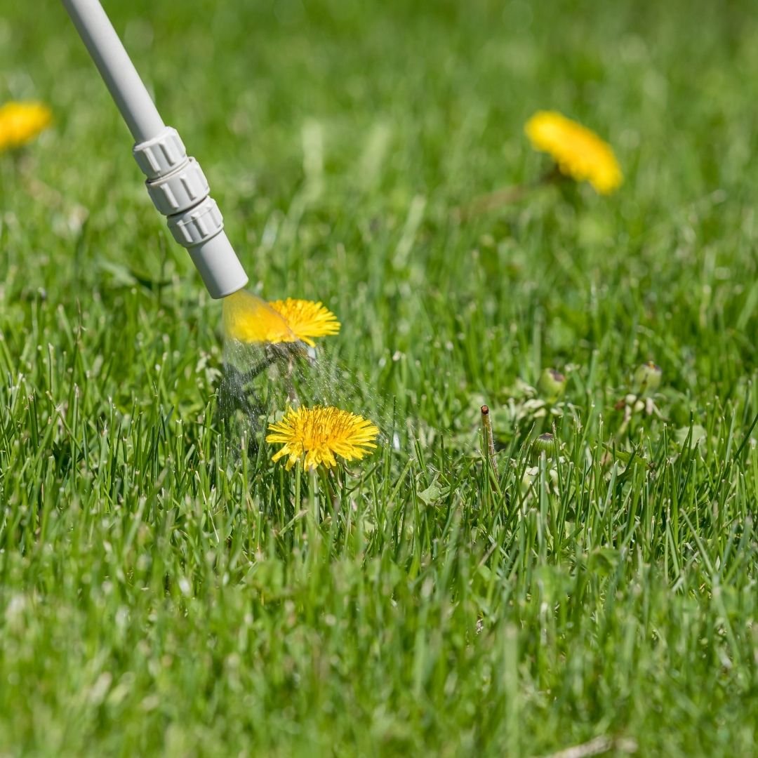 weed spraying in idaho falls